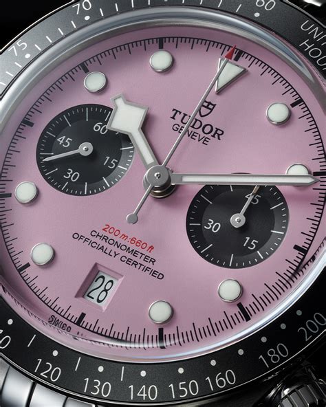 tudor black bay pink dial.